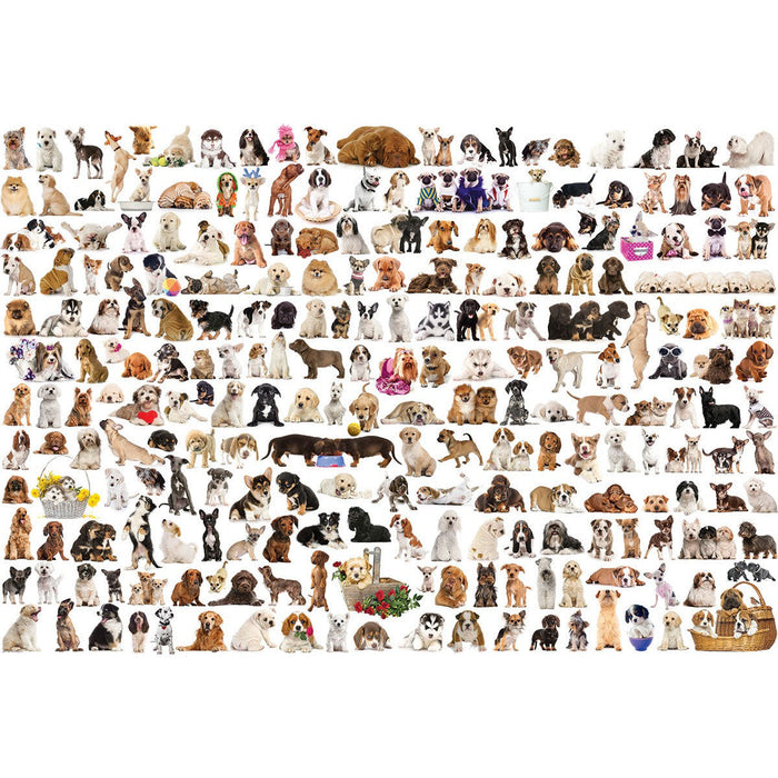 The World of Dogs 2000 Piece Jigsaw Puzzle Eurographics - for just $29.99! 
