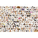 The World of Dogs 2000 Piece Jigsaw Puzzle Eurographics - for just $29.99! 