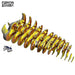 Thorny Devil 3D Cardboard Model Kit Eugy - for just $11.99! 