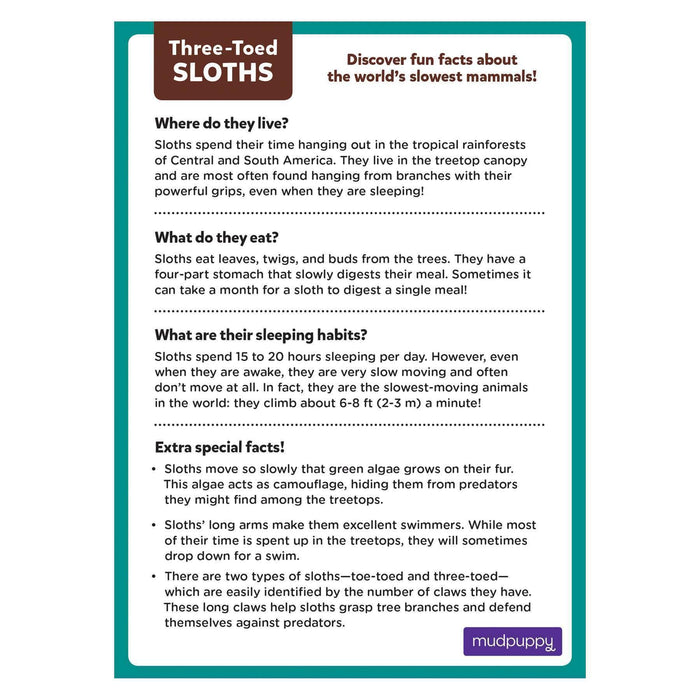 Three-Toed Sloth 48 Piece Mini Jigsaw Puzzle Mudpuppy - for just $4.99! 