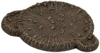 Flames of War: Large Craters and Ruined House - for just $29! 