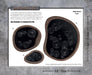 Battlefield in a Box: Tar Pits - for just $30! 