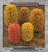Battlefield in a Box: Large Autumn Wood - for just $25! 