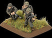Flames of War: German Panzer Kampgruppe Army (Late War) - for just $110! 