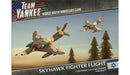 Team Yankee: Skyhawk Fighter Flight - for just $47! 