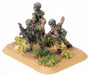 Team Yankee: Israeli Mech Infantry Platoon - for just $24! 