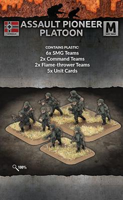 Flames of War: German Assault Pioneer Platoon (Mid War) - for just $20! 