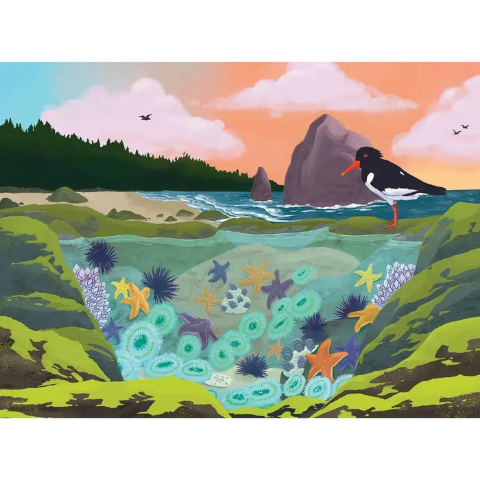 Tidepool by Elena Cronin 1000 Piece Jigsaw Puzzle Bridgetown - for just $29.99! 