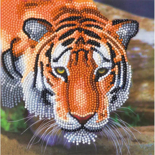 Tiger Crystal Art Card Kit Craft Buddy - for just $7.99! 