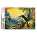 Toucan 1000 Piece Jigsaw Puzzle Piatnik - for just $24.99! 