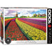 Tulip Fields 1000 Piece Jigsaw Puzzle Eurographics - for just $21.99! 