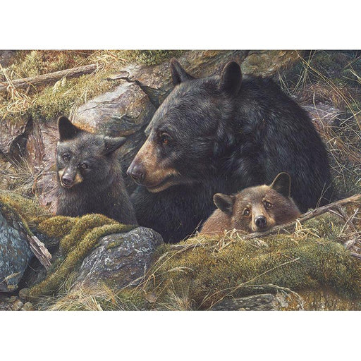 Twice the Love 1000 Piece Jigsaw Puzzle Cobble Hill - for just $19.99! 