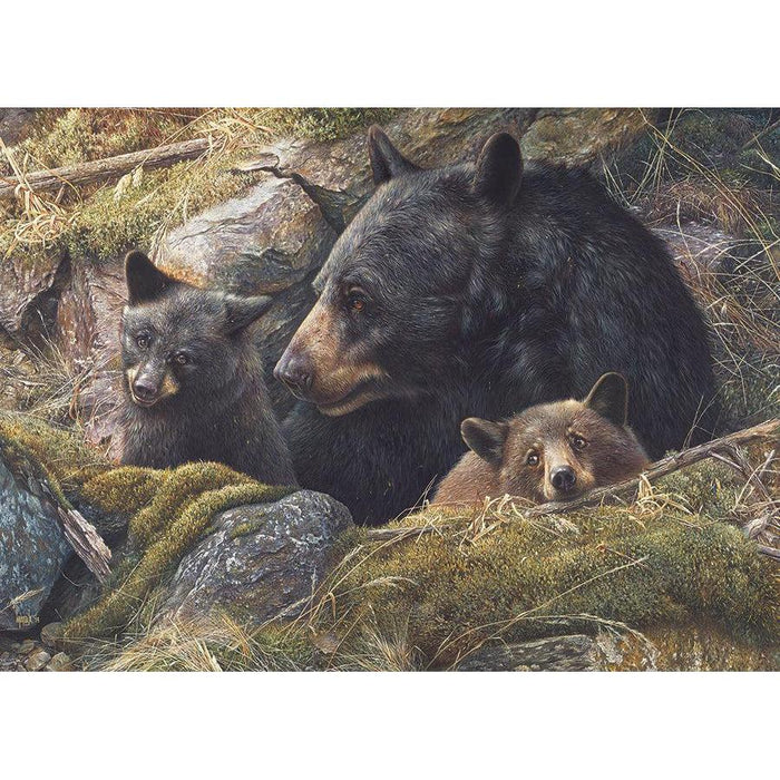 Twice the Love 1000 Piece Jigsaw Puzzle Cobble Hill - for just $19.99! 