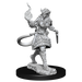 D&D: Nolzur's Marvelous Miniatures - Tiefling Sorcerer Female - for just $5.99! 