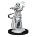 D&D: Nolzur's Marvelous Miniatures - Tiefling Sorcerer Female - for just $5.99! 