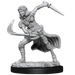 D&D: Nolzur's Marvelous Miniatures - Air Genasi Female - for just $5.99! 