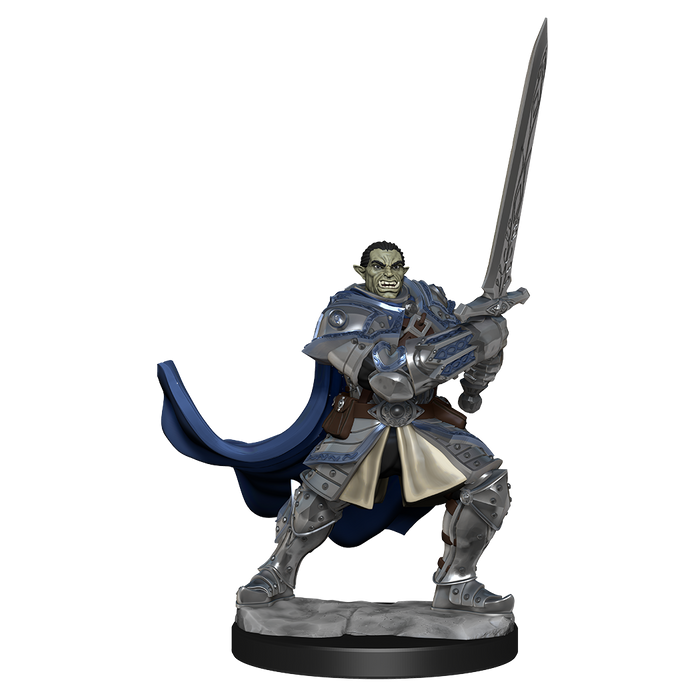 D&D: Nolzur's Marvelous Miniatures - Half-Orc Paladin Male - for just $5.99! 