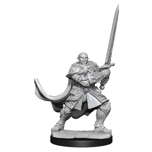 D&D: Nolzur's Marvelous Miniatures - Half-Orc Paladin Male - for just $5.99! 
