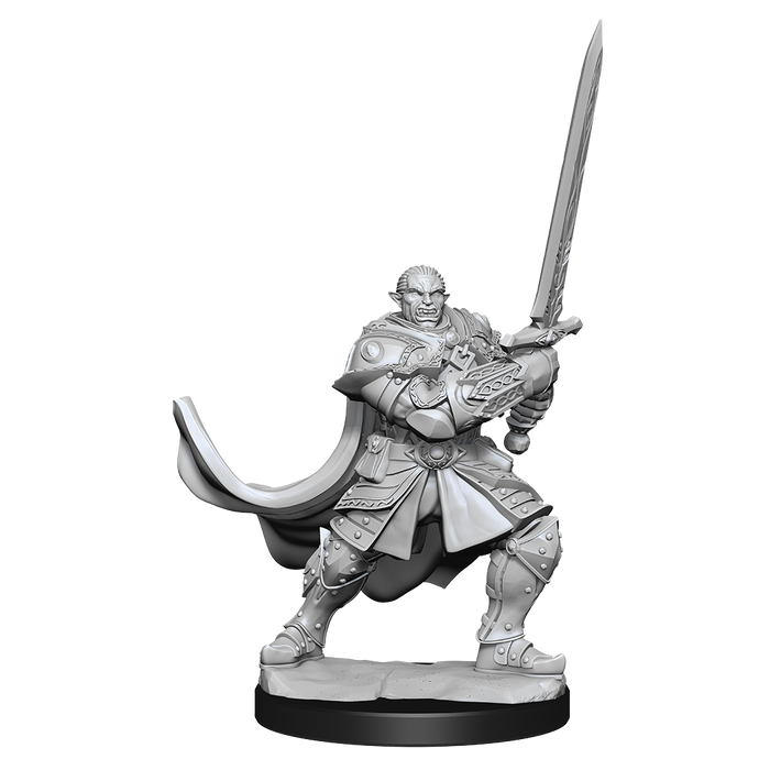 D&D: Nolzur's Marvelous Miniatures - Half-Orc Paladin Male - for just $5.99! 