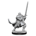 D&D: Nolzur's Marvelous Miniatures - Half-Orc Paladin Male - for just $5.99! 