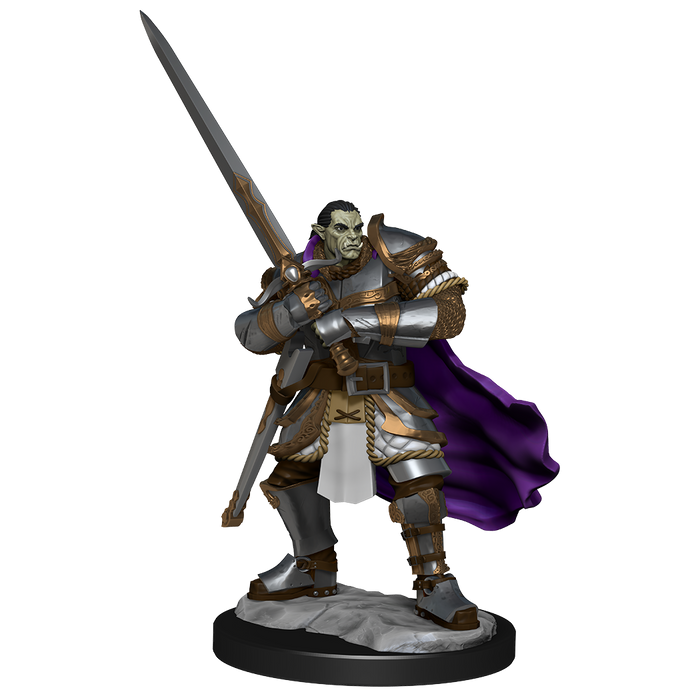 D&D: Nolzur's Marvelous Miniatures - Half-Orc Paladin Male - for just $5.99! 