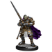 D&D: Nolzur's Marvelous Miniatures - Half-Orc Paladin Male - for just $5.99! 