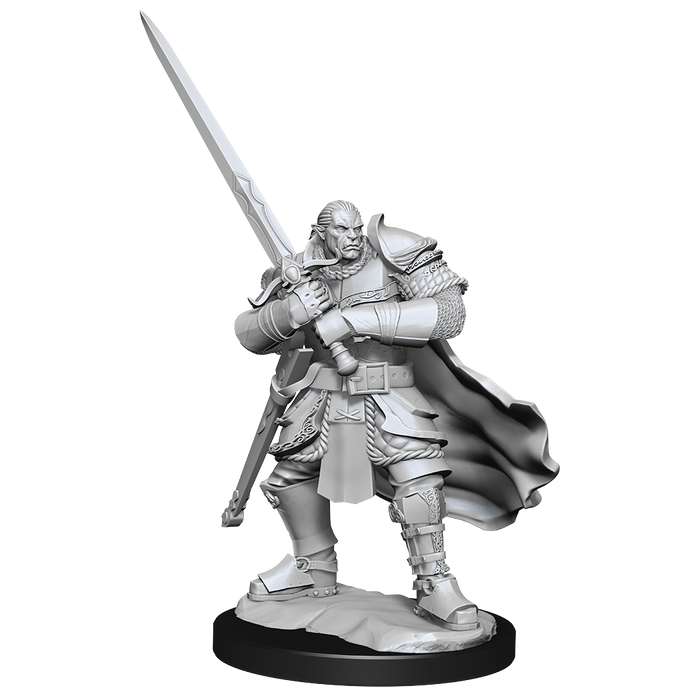 D&D: Nolzur's Marvelous Miniatures - Half-Orc Paladin Male - for just $5.99! 