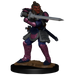 D&D: Nolzur's Marvelous Miniatures - Hobgoblin Fighter Male & Hobgoblin Wizard Female - for just $5.99! 
