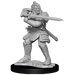 D&D: Nolzur's Marvelous Miniatures - Hobgoblin Fighter Male & Hobgoblin Wizard Female - for just $5.99! 