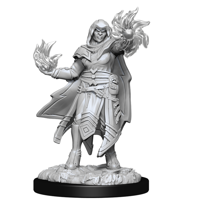 D&D: Nolzur's Marvelous Miniatures - Hobgoblin Fighter Male & Hobgoblin Wizard Female - for just $5.99! 