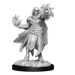 D&D: Nolzur's Marvelous Miniatures - Hobgoblin Fighter Male & Hobgoblin Wizard Female - for just $5.99! 