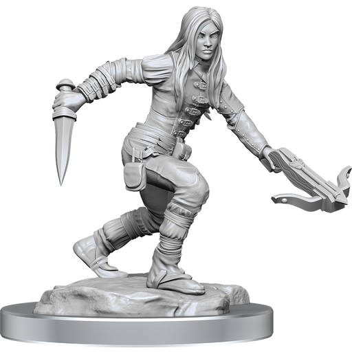 D&D: Nolzur's Marvelous Miniatures - Half-Elf Rogue Female - for just $5.99! 