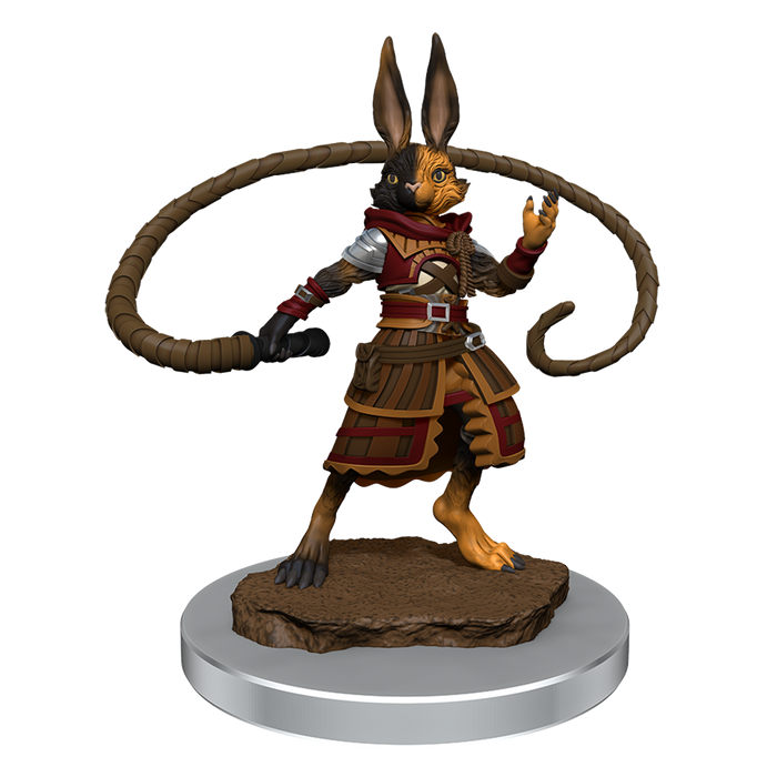D&D: Nolzur's Marvelous Miniatures - Harengon Rogues - for just $5.99! 