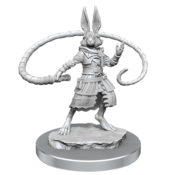 D&D: Nolzur's Marvelous Miniatures - Harengon Rogues - for just $5.99! 