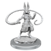 D&D: Nolzur's Marvelous Miniatures - Harengon Rogues - for just $5.99! 
