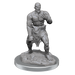 D&D: Nolzur's Marvelous Miniatures - Flesh Golems - for just $5.99! 