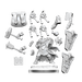 D&D: Frameworks - Dwarf Cleric Female - for just $17.99! 