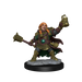 D&D: Frameworks - Dwarf Cleric Female - for just $17.99! 