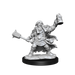 D&D: Frameworks - Dwarf Cleric Female - for just $17.99! 