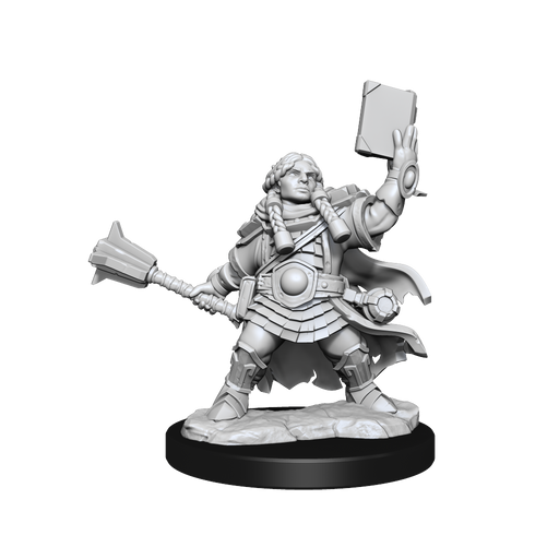D&D: Frameworks - Dwarf Cleric Female - for just $17.99! 