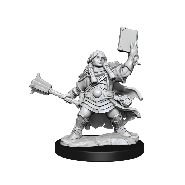 D&D: Frameworks - Dwarf Cleric Female - for just $17.99! 
