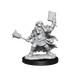 D&D: Frameworks - Dwarf Cleric Female - for just $17.99! 