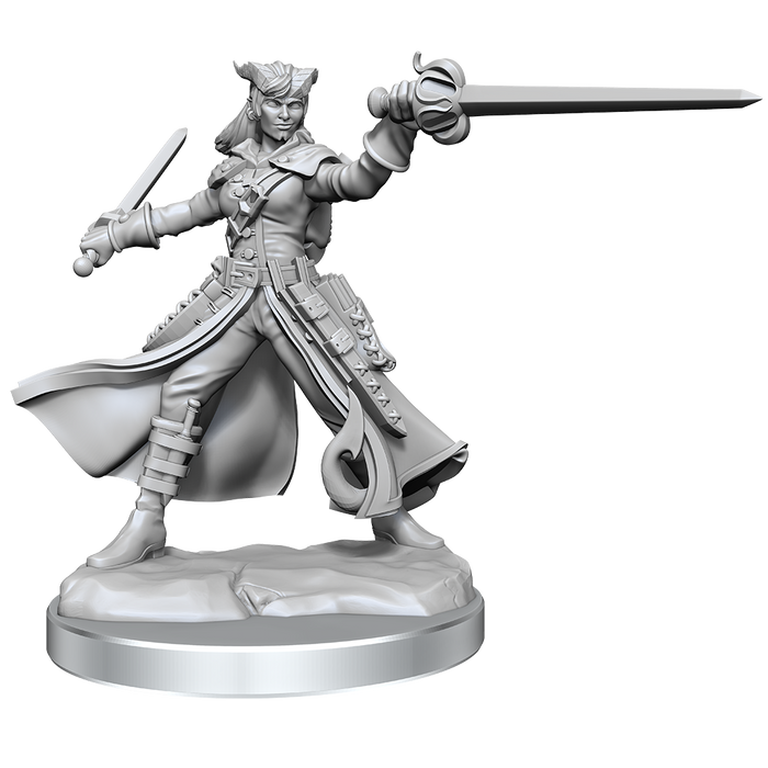 D&D: Frameworks - Tiefling Rogue Female - for just $17.99! 