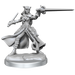 D&D: Frameworks - Tiefling Rogue Female - for just $17.99! 
