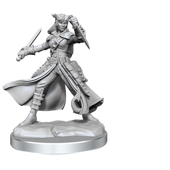D&D: Frameworks - Tiefling Rogue Female - for just $17.99! 