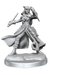 D&D: Frameworks - Tiefling Rogue Female - for just $17.99! 