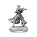D&D: Frameworks - Tiefling Rogue Female - for just $17.99! 