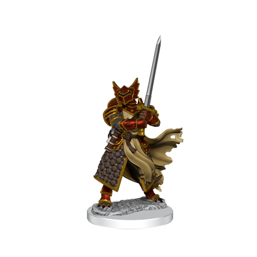 D&D: Frameworks - Dragonborn Paladin Male - for just $17.99! 