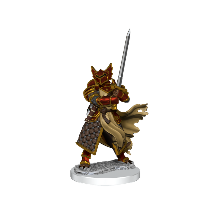 D&D: Frameworks - Dragonborn Paladin Male - for just $17.99! 