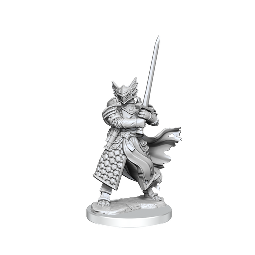 D&D: Frameworks - Dragonborn Paladin Male - for just $17.99! 